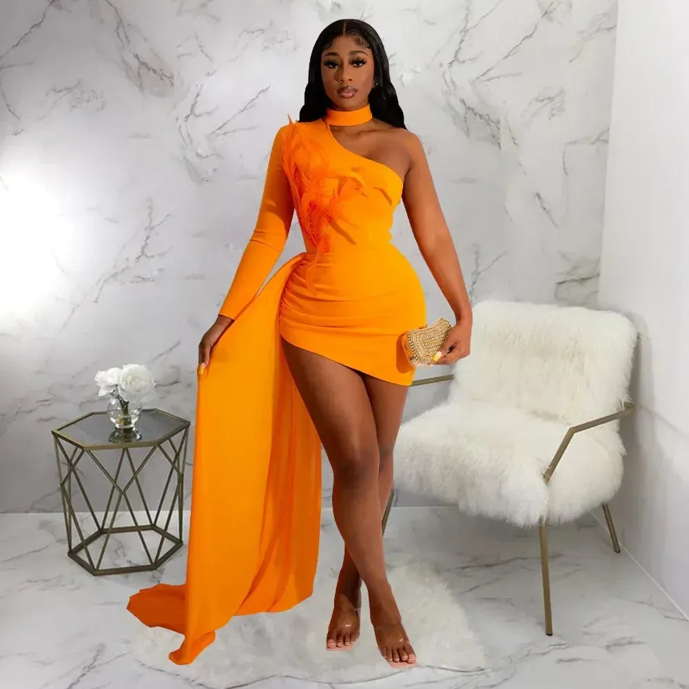 Alishah Feather Bodycon Evening Dresses