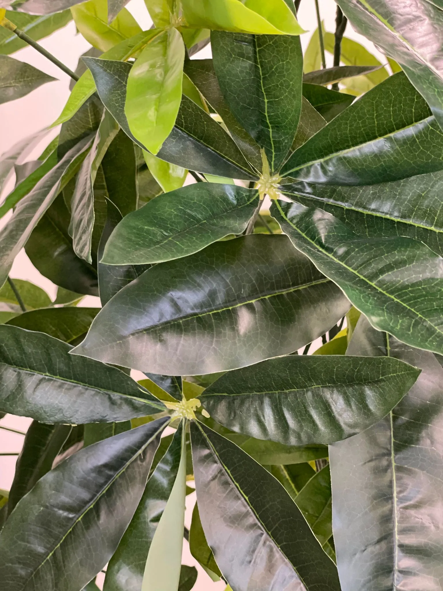 Artificial Money Tree - 5.5'