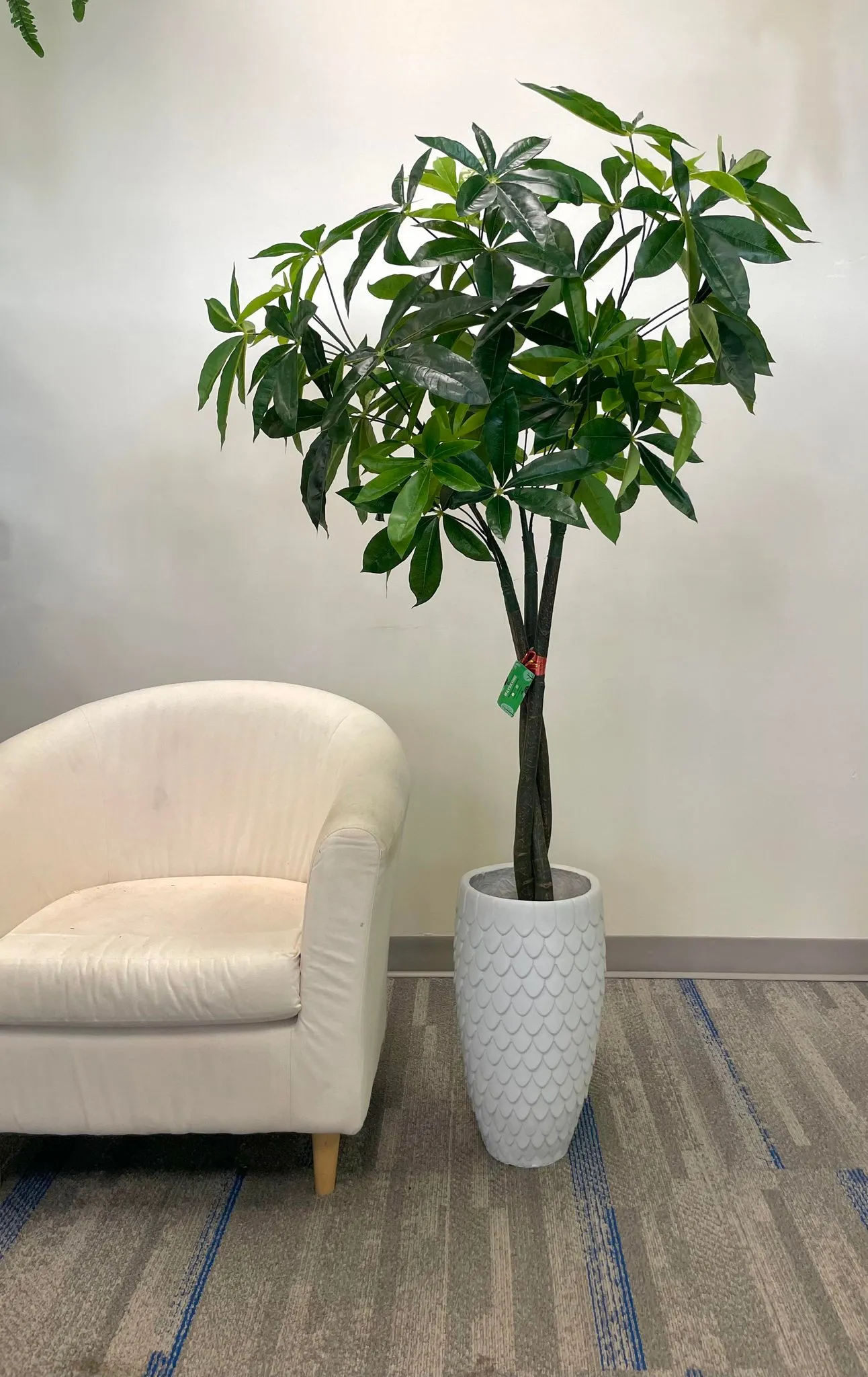 Artificial Money Tree - 5.5'
