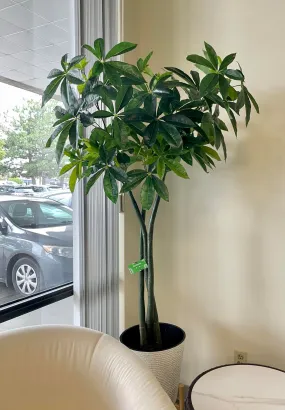 Artificial Money Tree - 5.5'