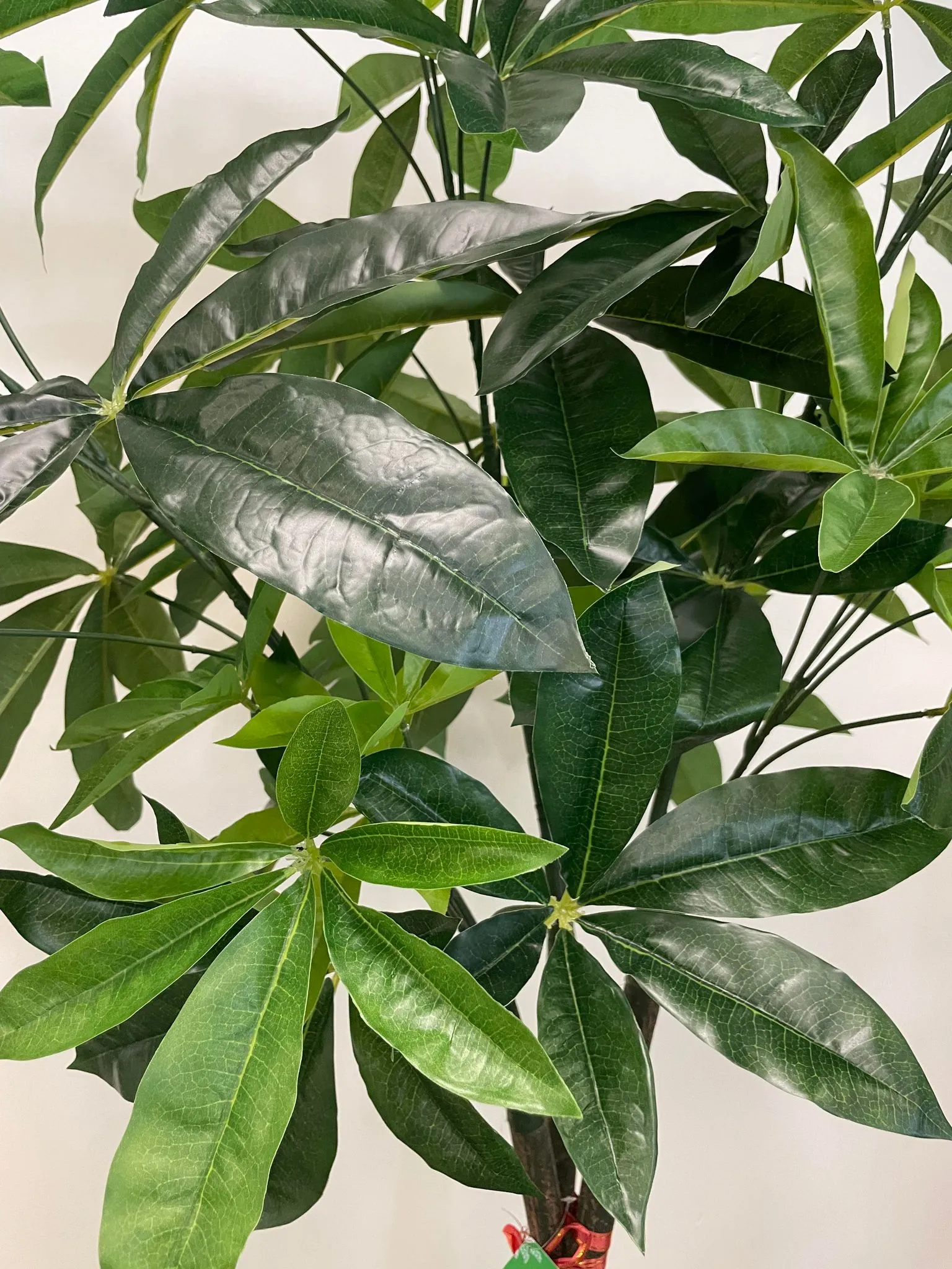 Artificial Money Tree - 6'
