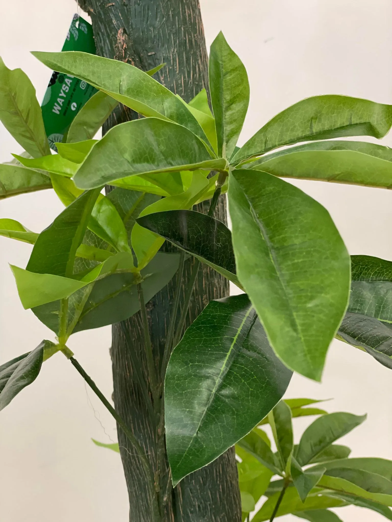 Artificial Money Tree - 6'