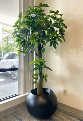 Artificial Money Tree - 6'
