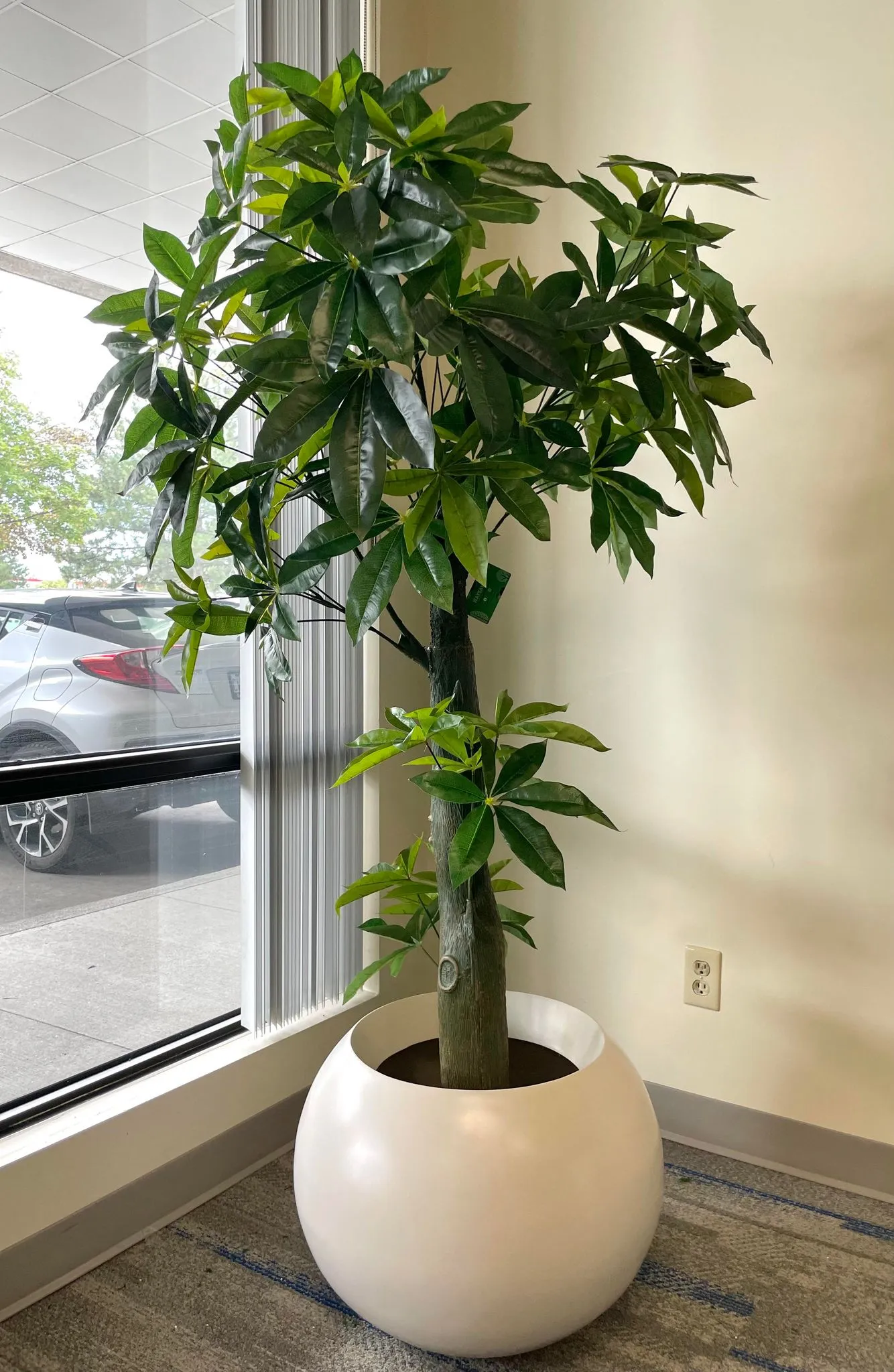 Artificial Money Tree - 6'