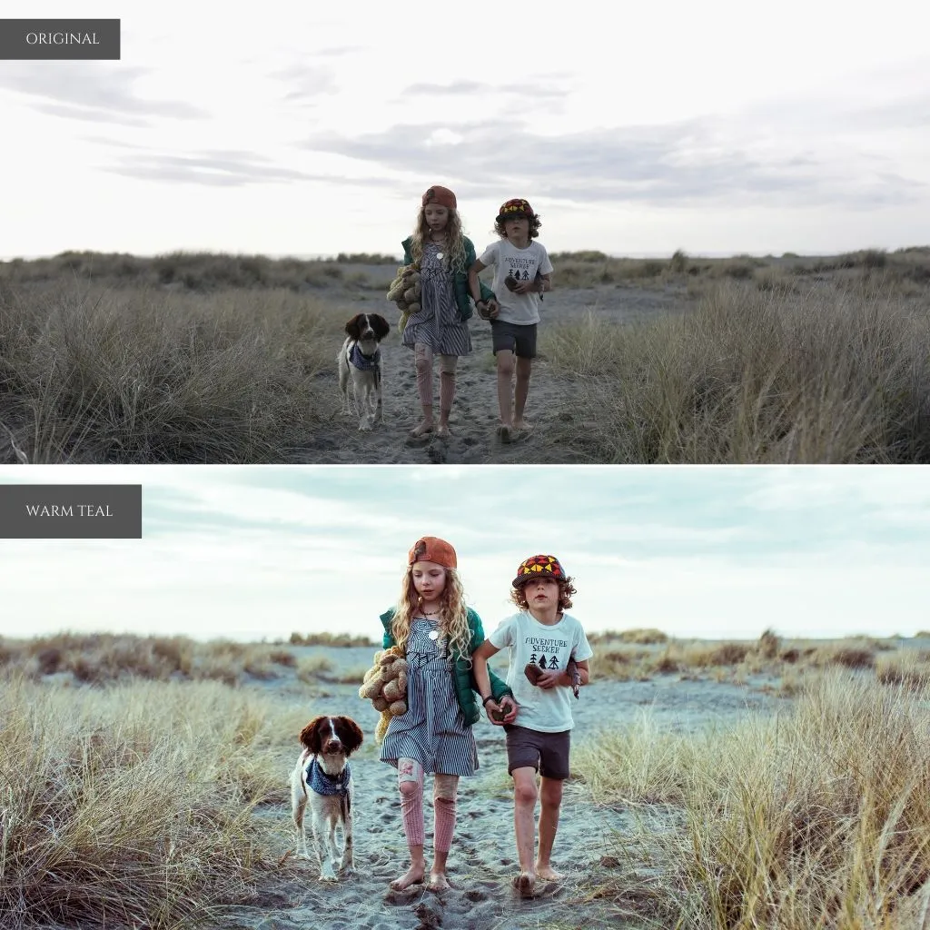 Cinematic Film Lightroom Presets – Desktop & Mobile