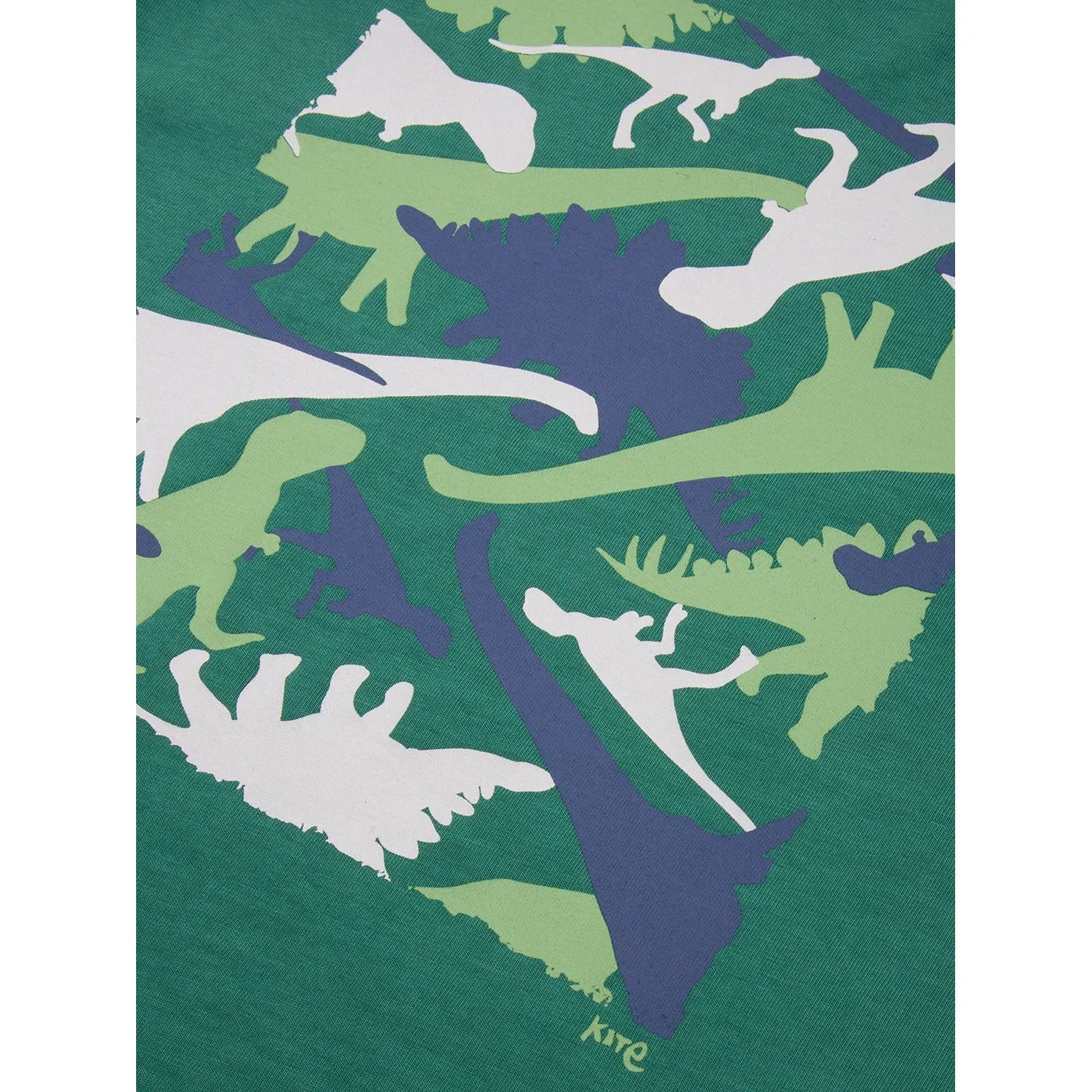 Dino Camo Long Sleeve Shirt