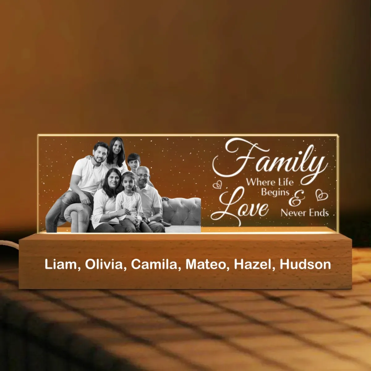 Father's Day Delight - Monochrome Memories in Full Flight - Personalized Acrylic LED Lamp Night Light