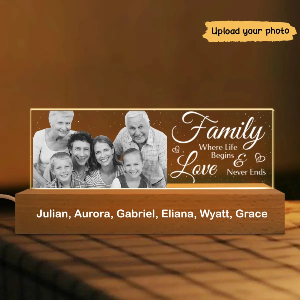 Father's Day Delight - Monochrome Memories in Full Flight - Personalized Acrylic LED Lamp Night Light