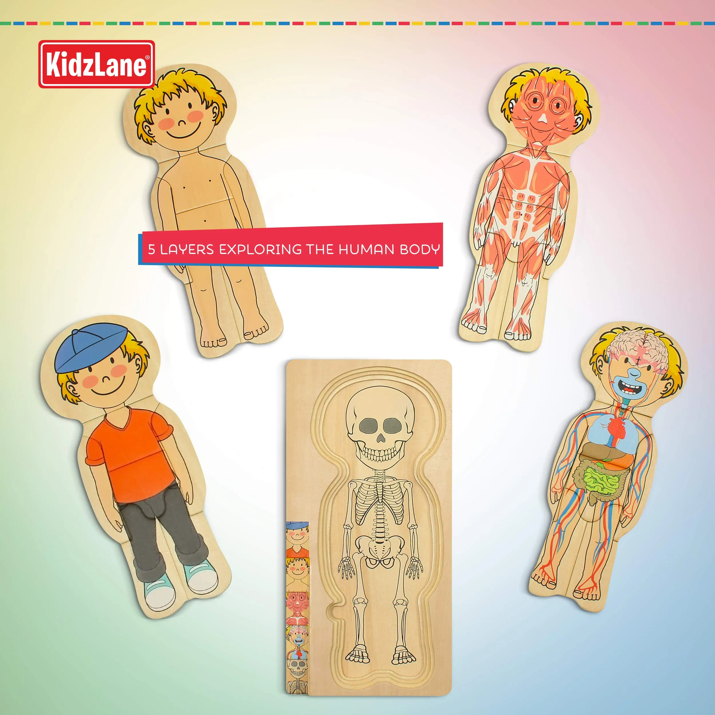 Kidzlane Wooden Human Body Puzzle for Kids and Toddlers | 29 Piece Boys Anatomy Play Set