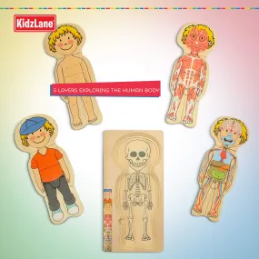Kidzlane Wooden Human Body Puzzle for Kids and Toddlers | 29 Piece Boys Anatomy Play Set