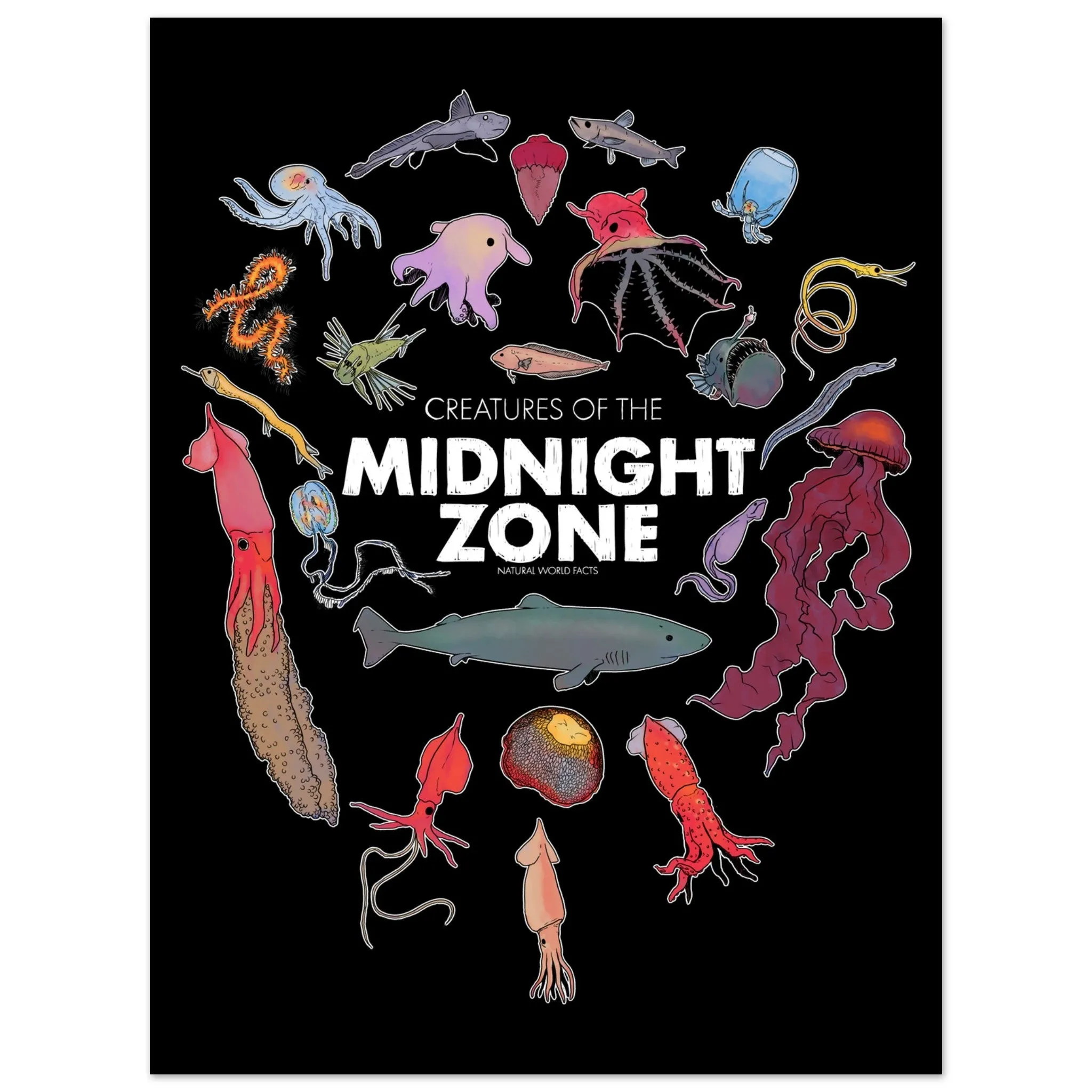 Midnight Zone Creatures - Aluminium Print