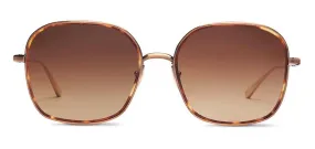 SALT OPTICS RHINE SQUARE POLARIZED TITANIUM SUNGLASSES